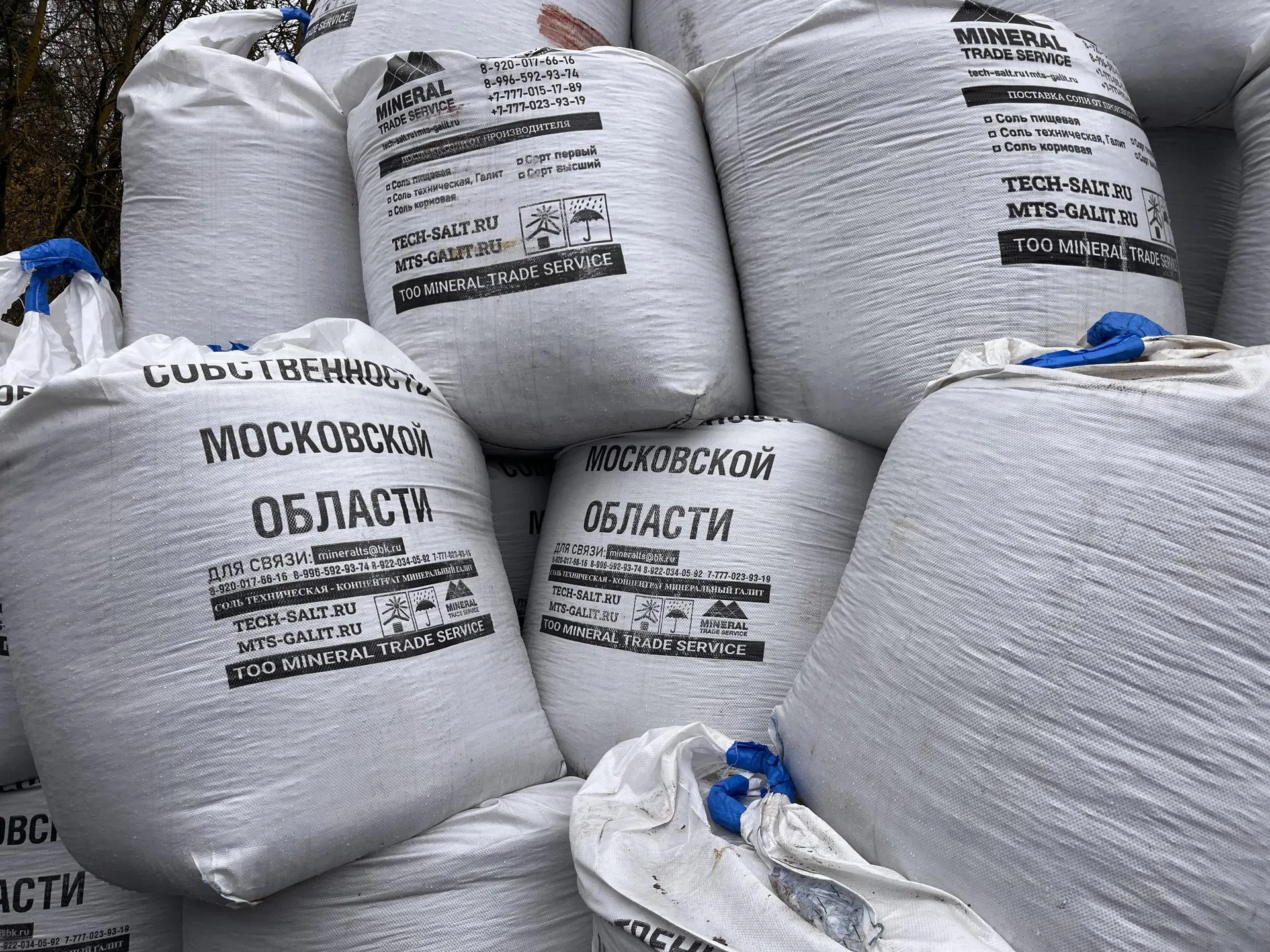 Фото: МедиаБанк Подмосковья/Ангелина Стельмух