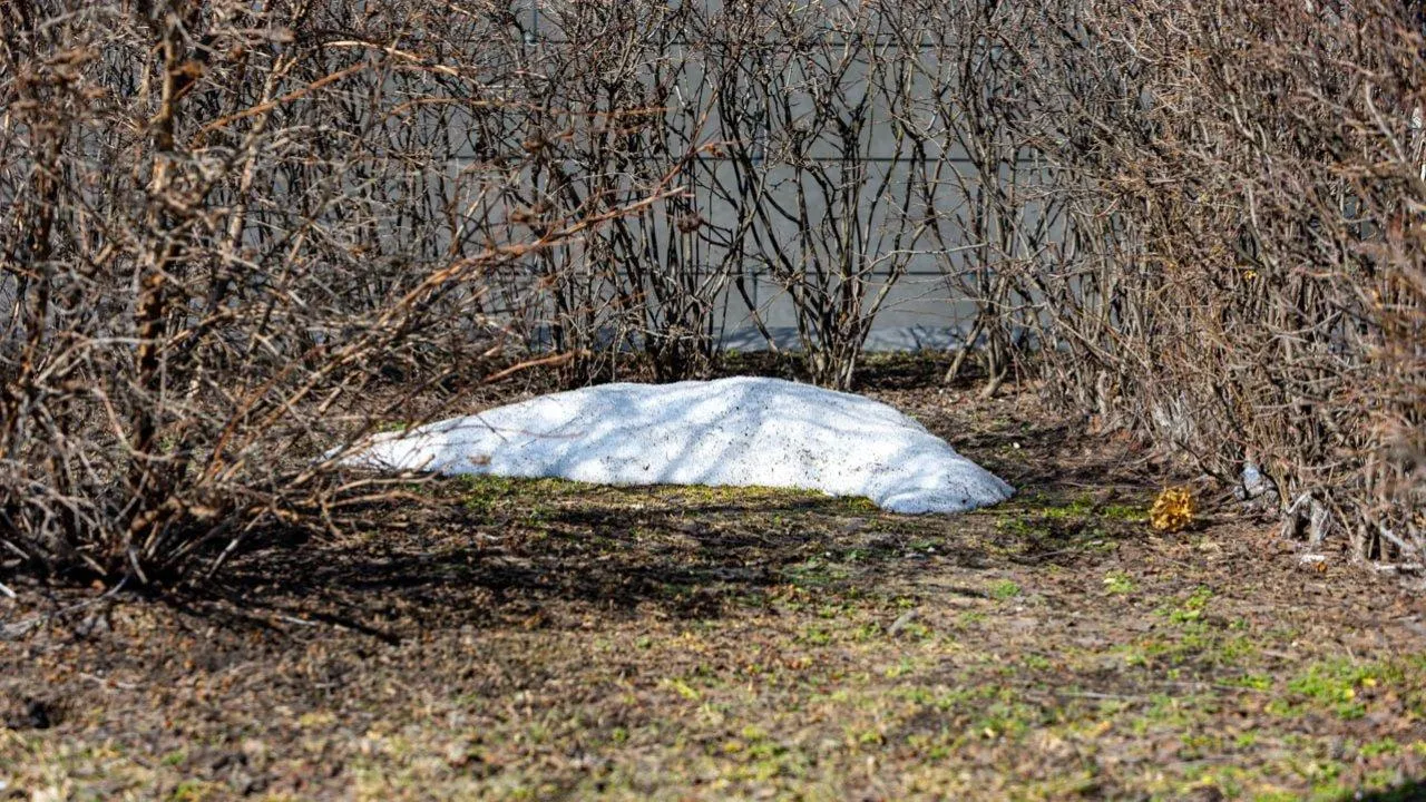 REGIONS/Роман Малышенко