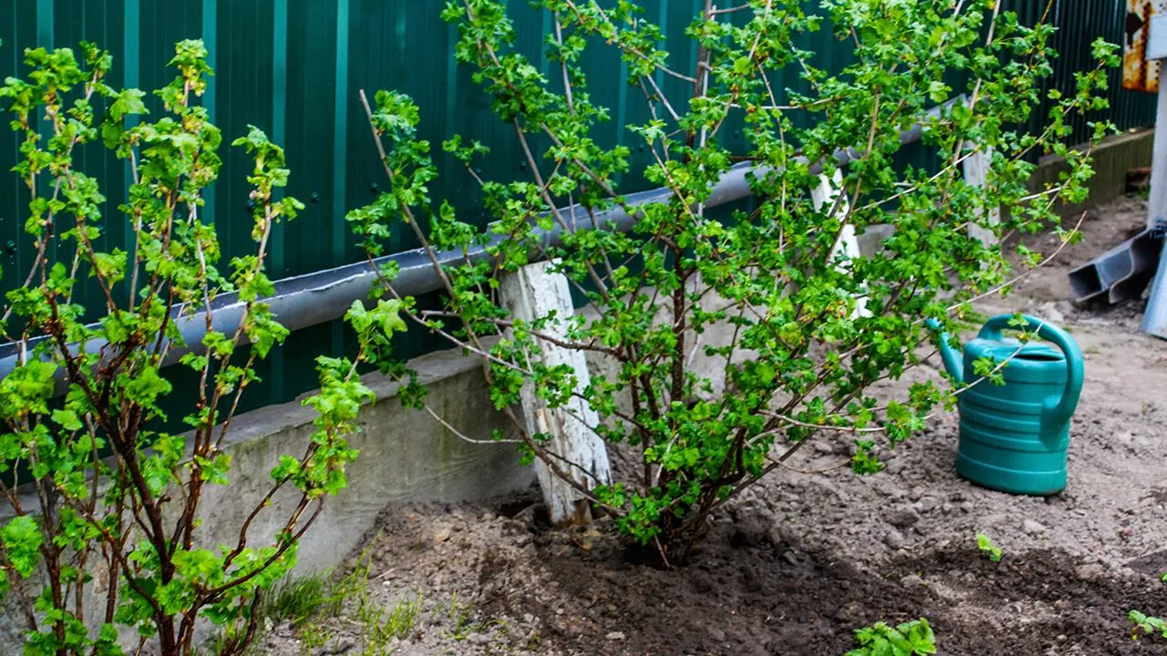 istockphoto.com/Tetiana Strilchuk