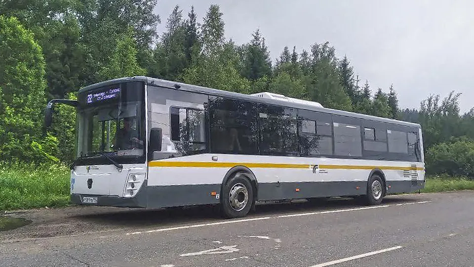 Фото: t.me/zvenigorod_zdraste