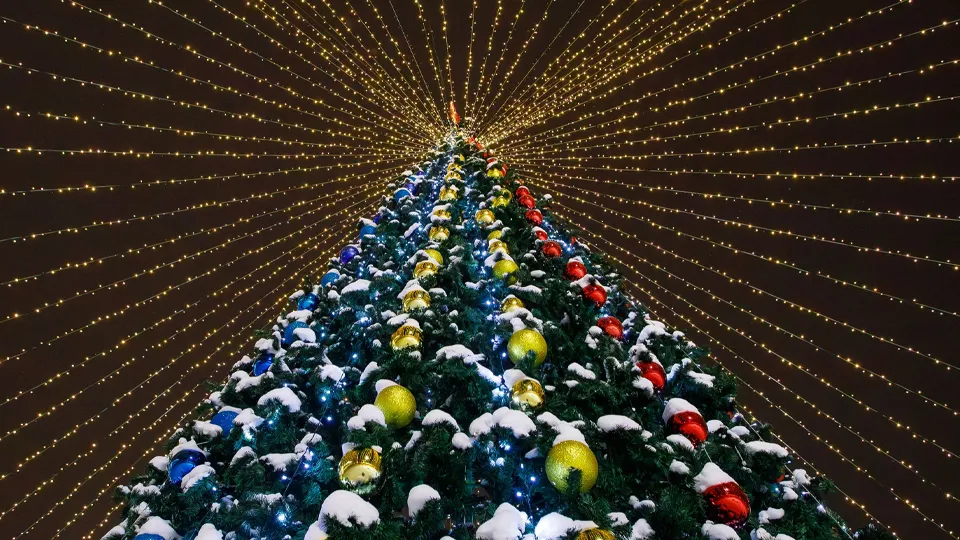 Фото: медиасток.рф