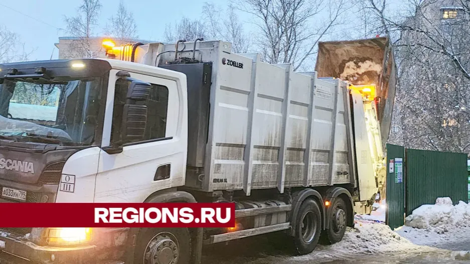 Фото: Светлана Борщева