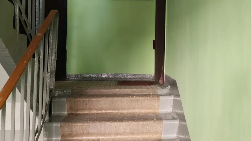 Фото: Хавива Фонина