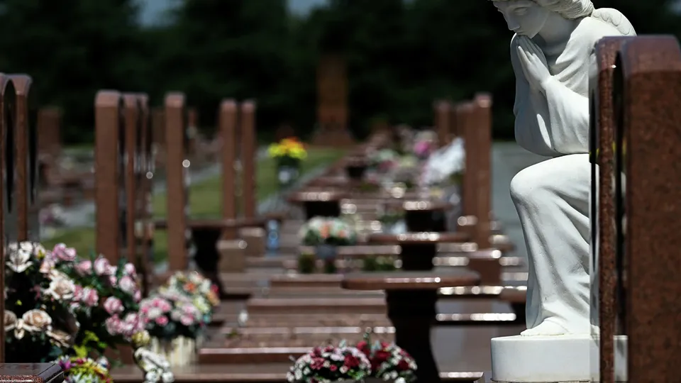 Фото: РИА Новости/Владимир Астапкович