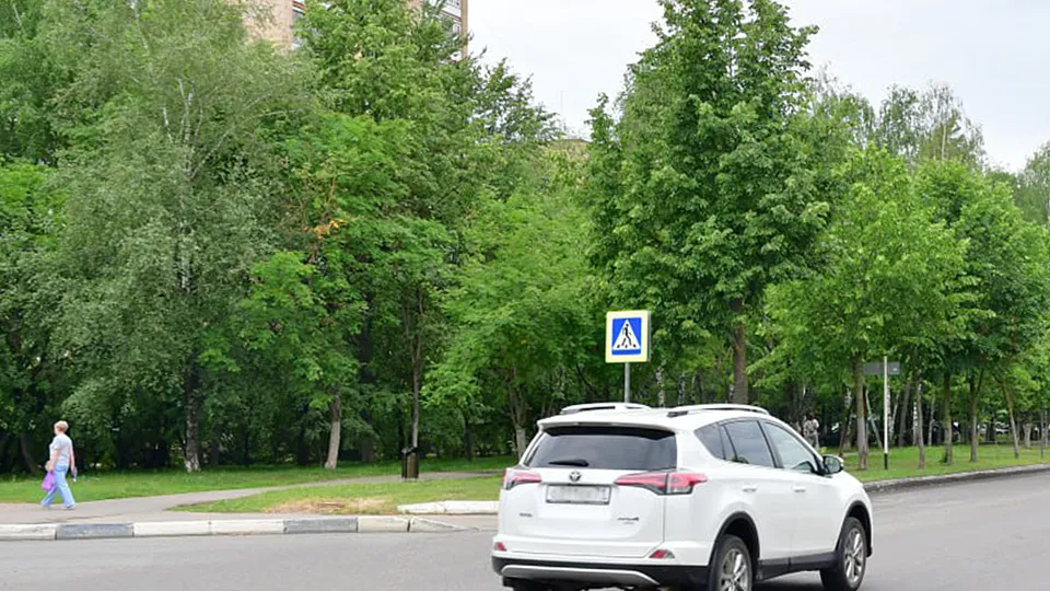 Фото: Наталья Бычкова