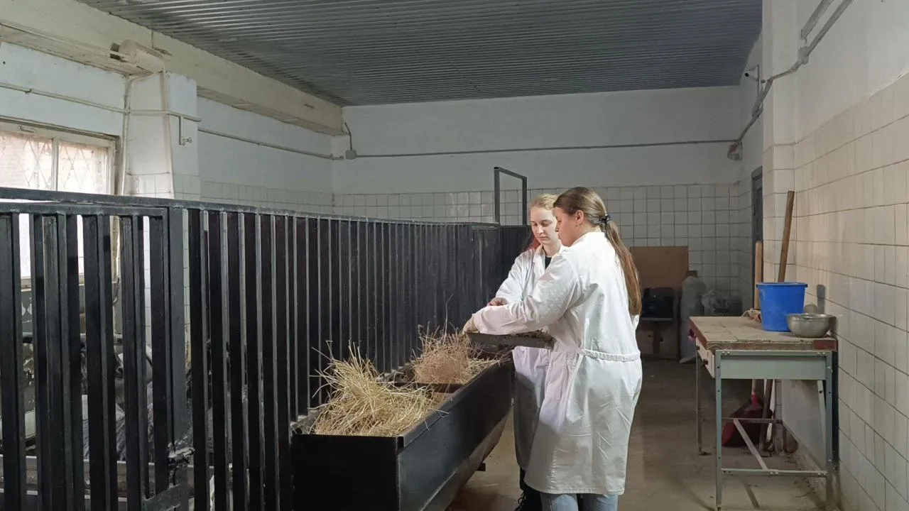 пресс-служба администрации городского округа Лобня