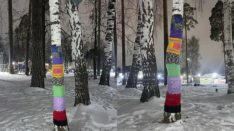 Сосну, рябину: что еще одели в Подмосковье
