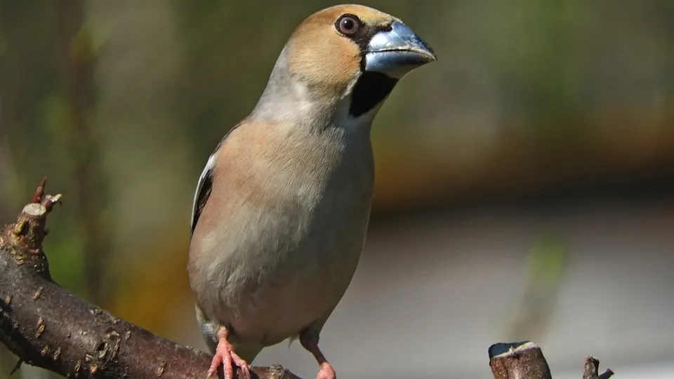 Фото: личный архив Ирины Столяровой
