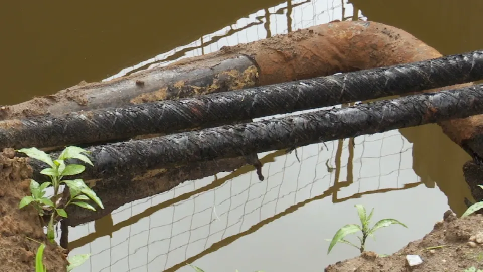 Фото: МедиаБанк Подмосковья/Данила Кирьянов