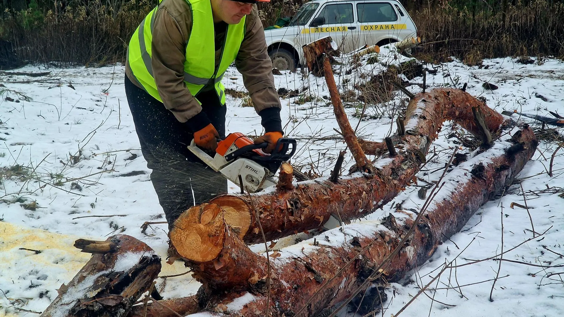 Фото: REGIONS/Ольга Шаронова