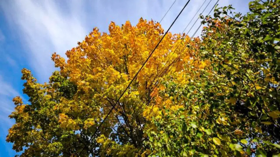 Фото: REGIONS/Роман Малышенко