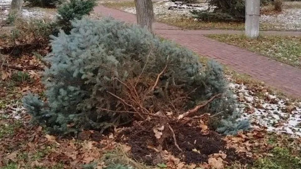 Фото: пресс-служба администрации городского округа Луховицы