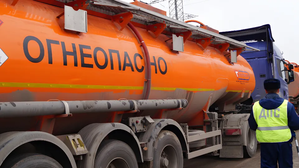 Фото: пресс-служба ГУ МВД Московской области