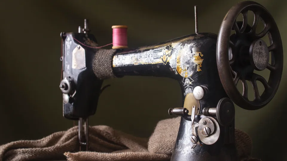 Фото: freepik.com