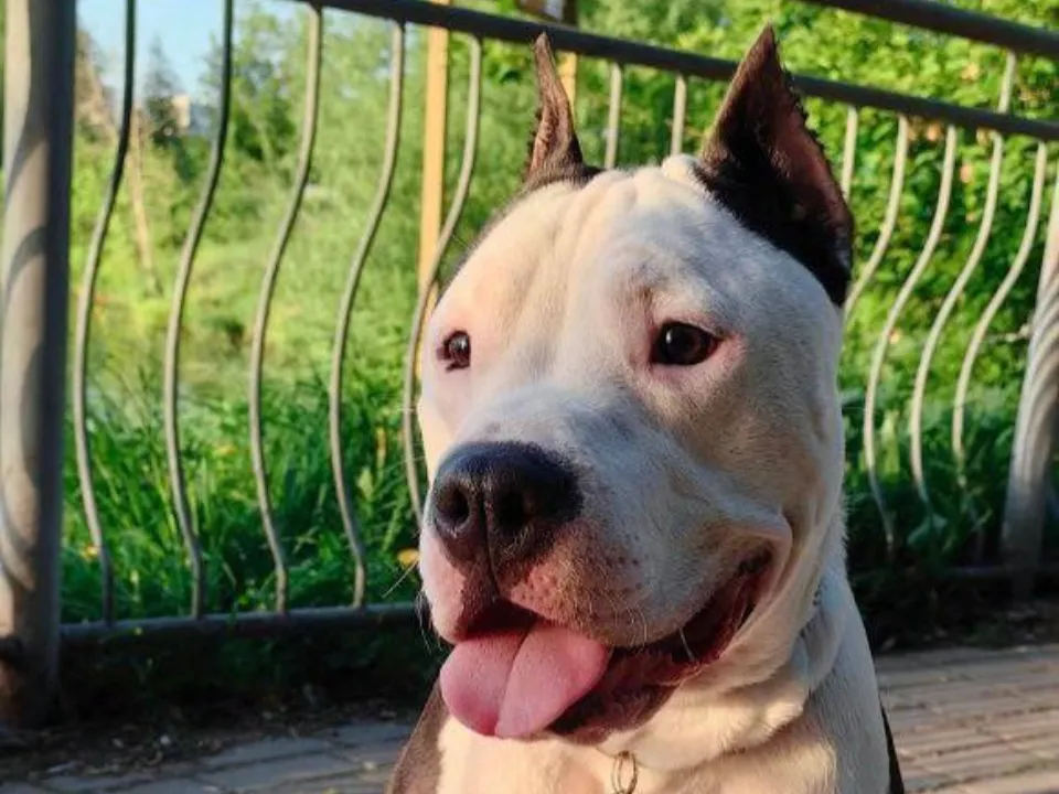 Фото: Министерство жилищной политики Московской области