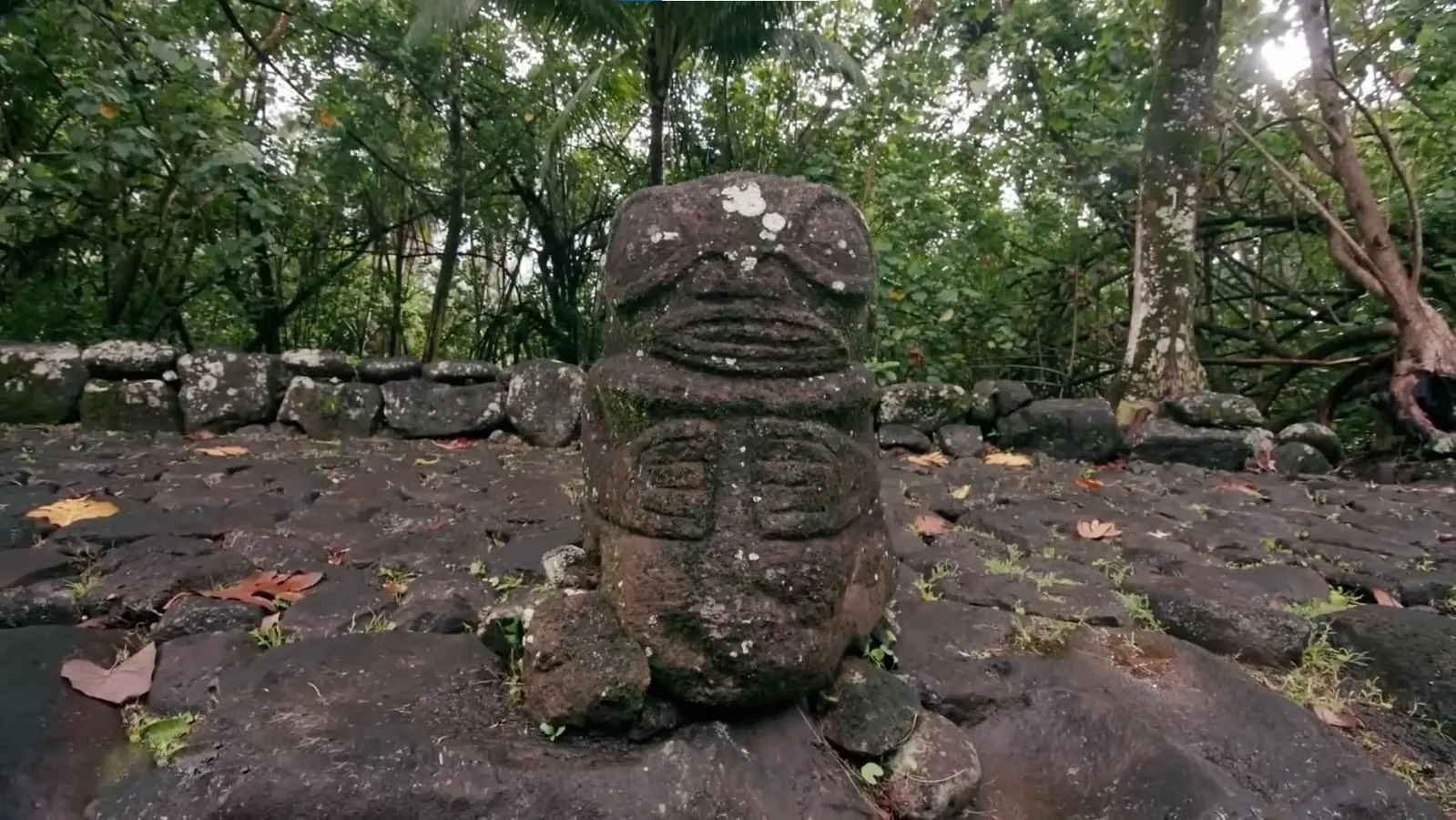 Стоп-кадр из видео @ tophype