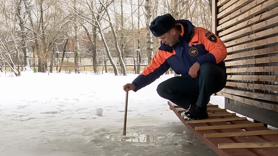 Фото: МедиаБанк Подмосковья/Ксения Казакова