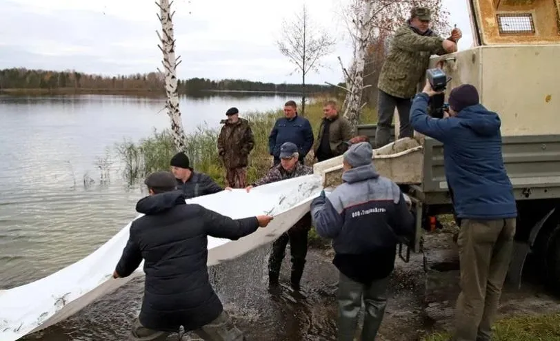 Зарыбление. Фото: Александр Дрожжин