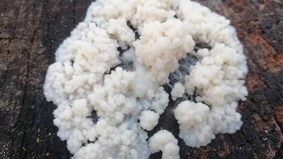 Фото: Анна Поливанова