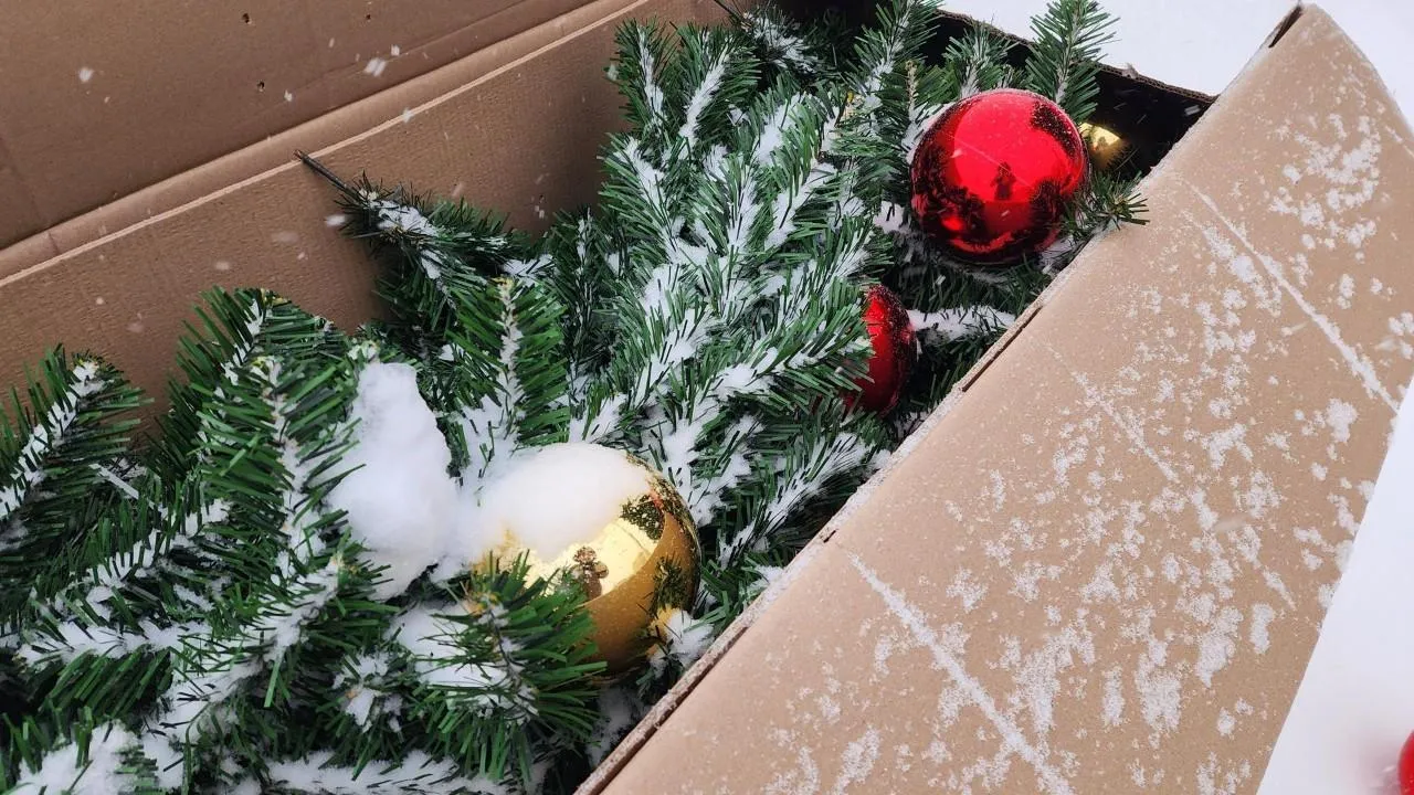 REGIONS/Екатерина Мелкозерова