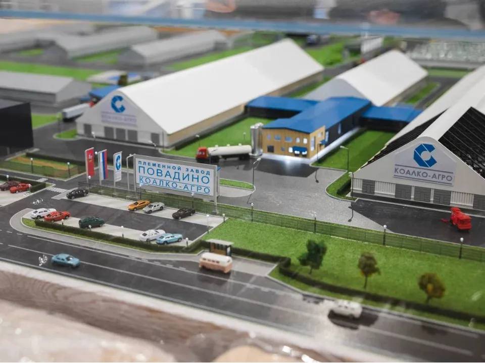 Фото: пресс-служба администрации г.о. Домодедово