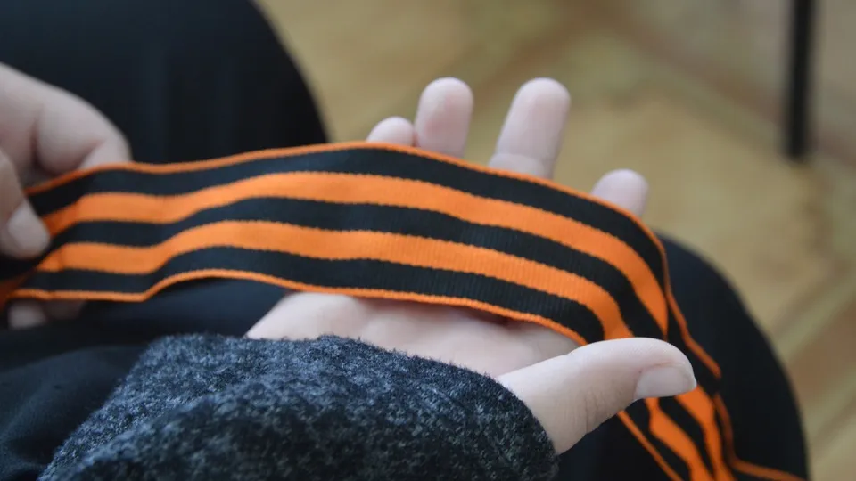 фото: Медиабанк Подмосковья / Михаил Мартыненко