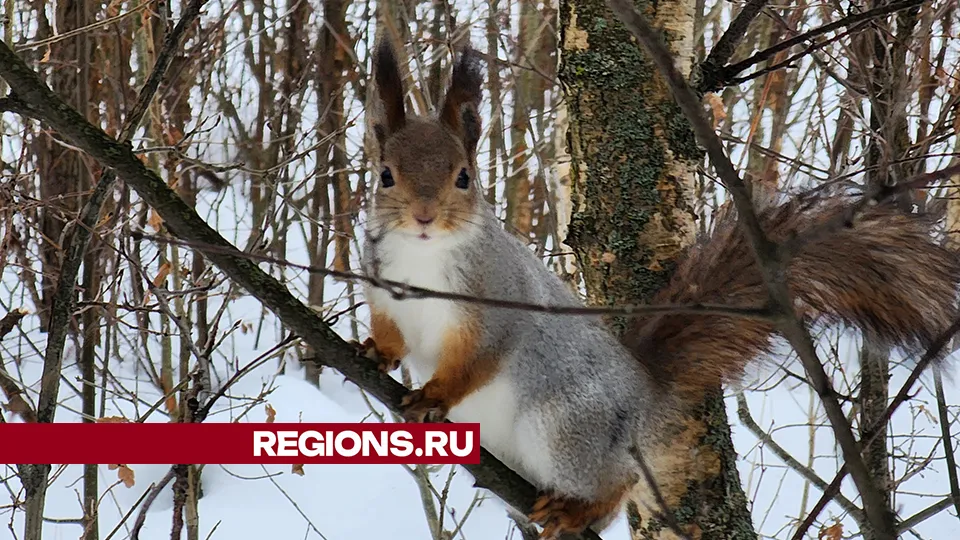 Фото: Валентина Максимова
