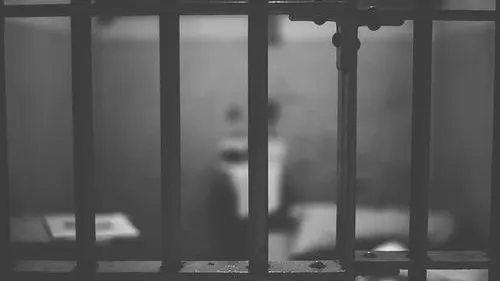 Террорист, устроивший резню в Вене, смог обмануть программу дерадикализации