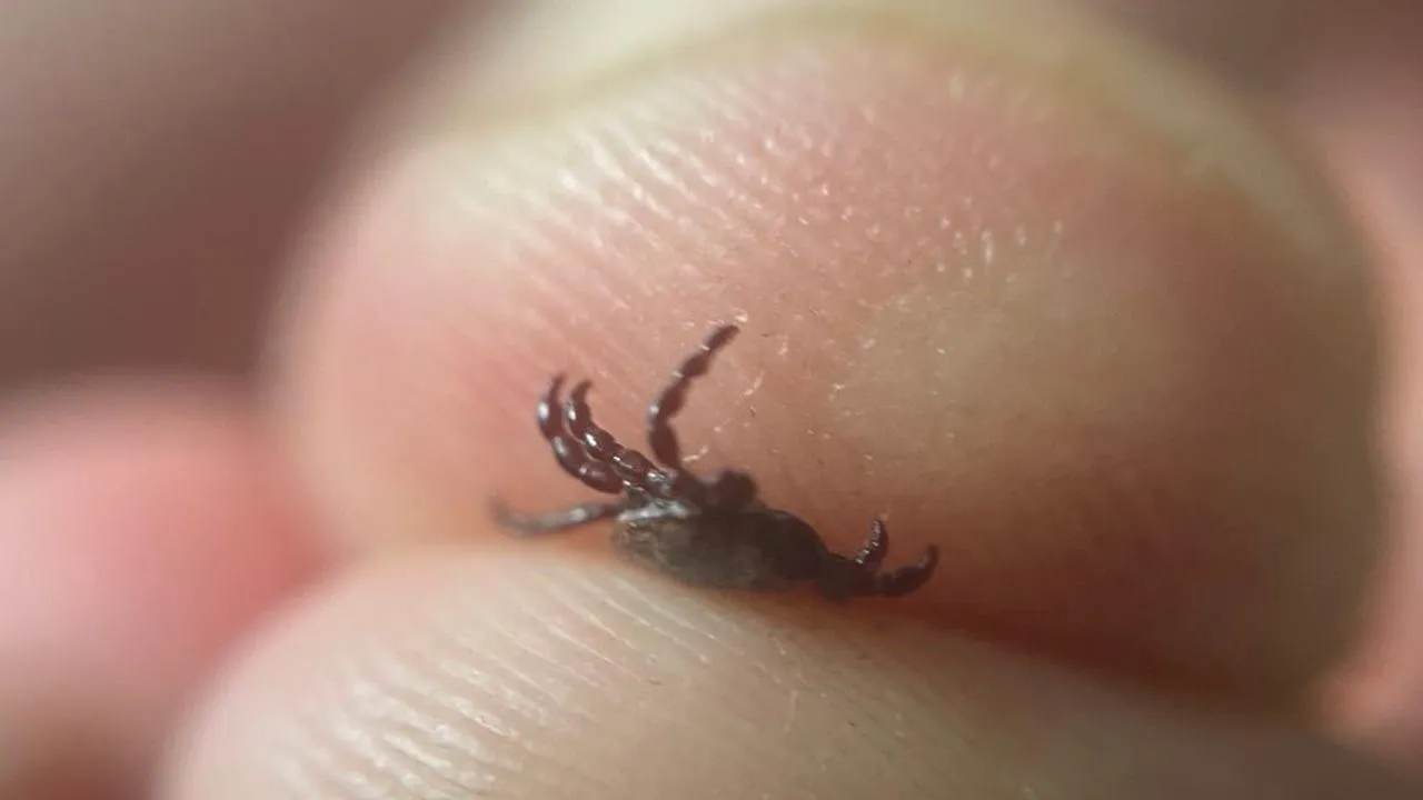 REGIONS/Юлия Петрова