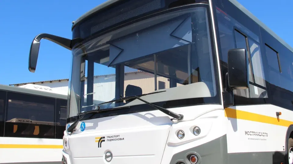 Фото: REGIONS/Василий Тремасов