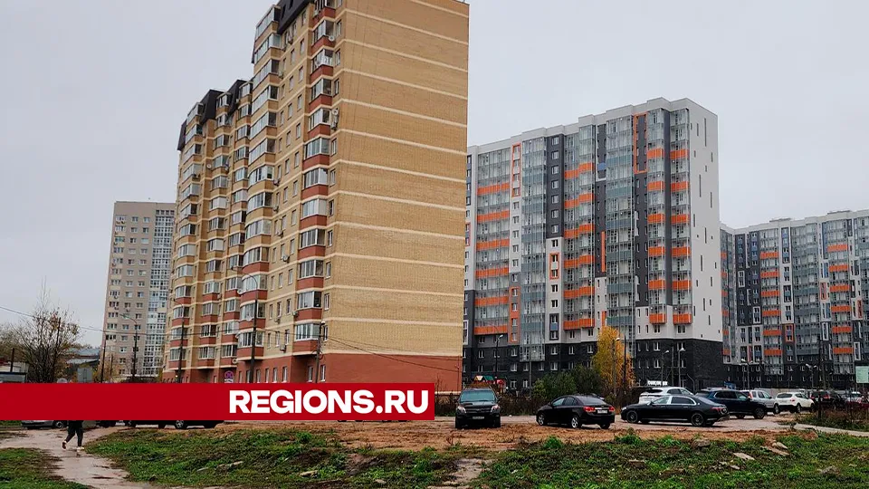 Фото: Хавива Фонина