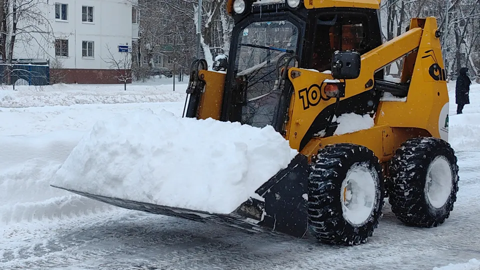Фото: МедиаБанк Подмосковья/Елена Катасонова
