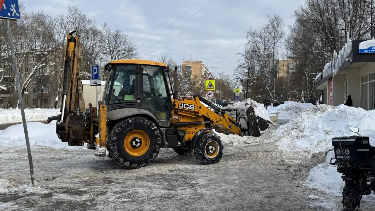 Виктория Фортуна