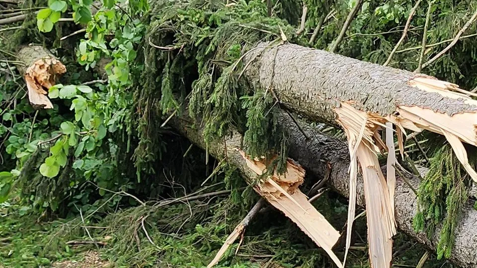 Фото: МедиаБанк Подмосковья/Валентина Максимова
