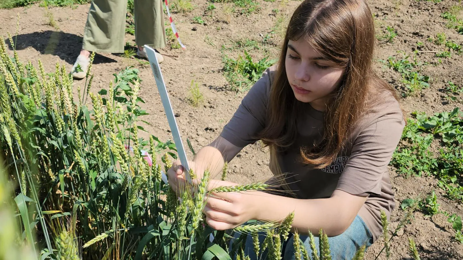 Фото: Андрей Семибратов