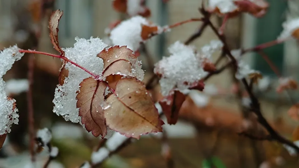 Фото: МедиаБанк Подмосковья/Екатерина Дятловская