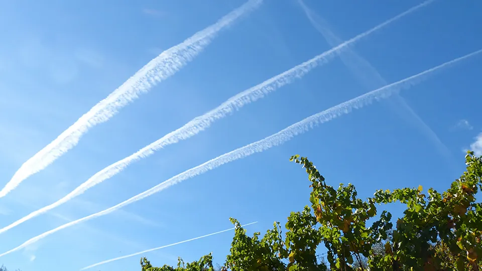 Фото: pxhere.com