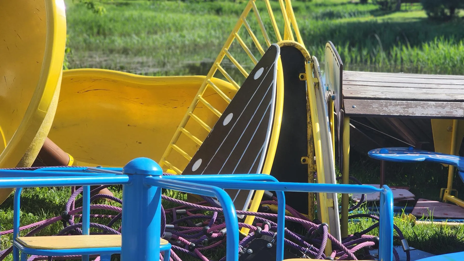 Фото: Полина Пахомова