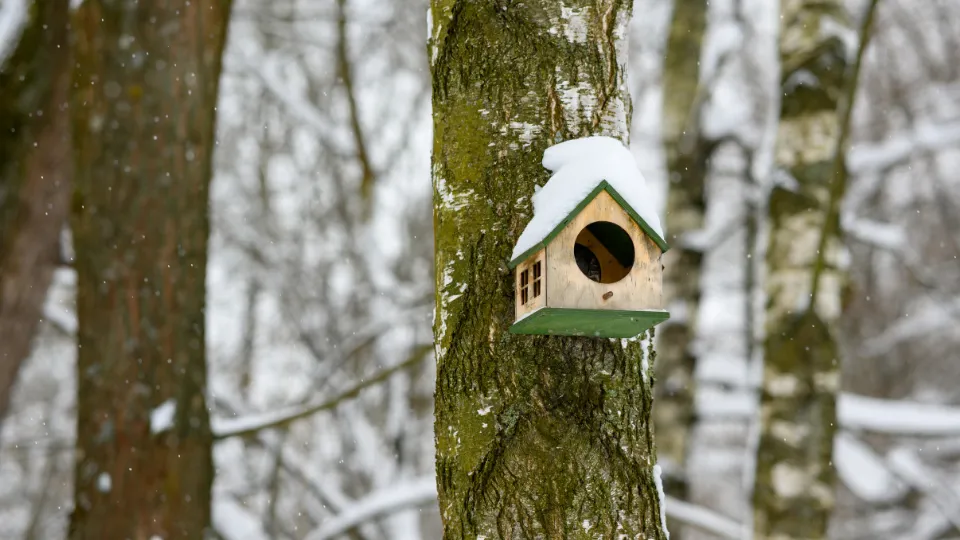 медиасток.рф