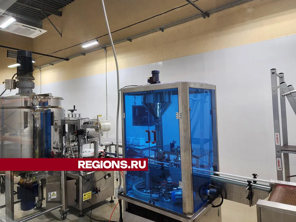 Фото: Екатерина Мелкозерова