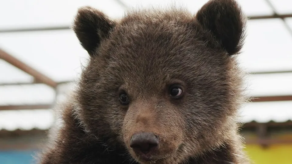 Фото: РИА Новости/Александр Сухов