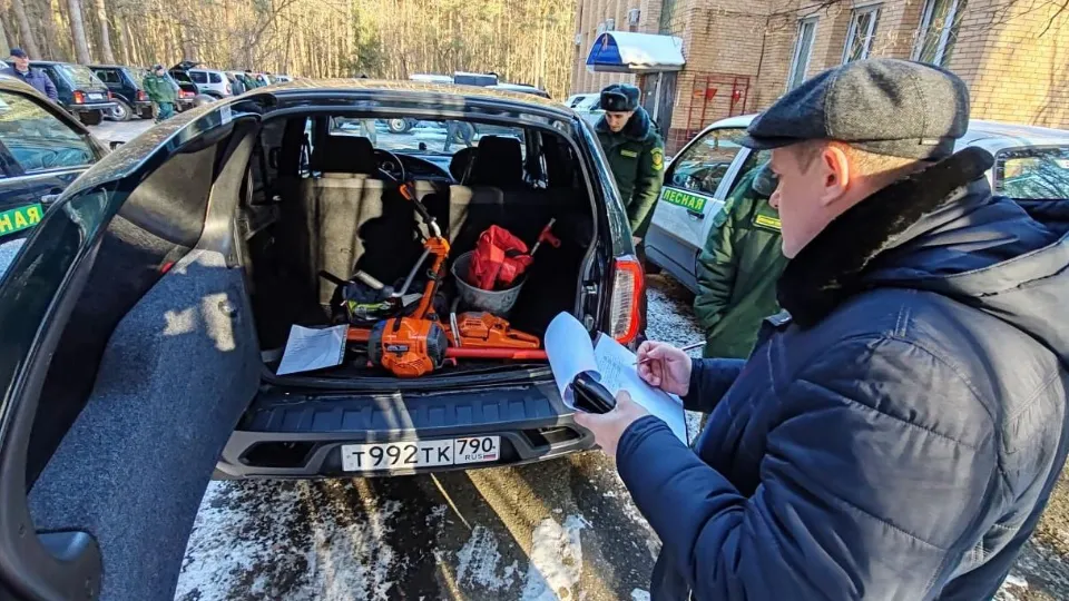 Фото: Комитет лесного хозяйства Московской области