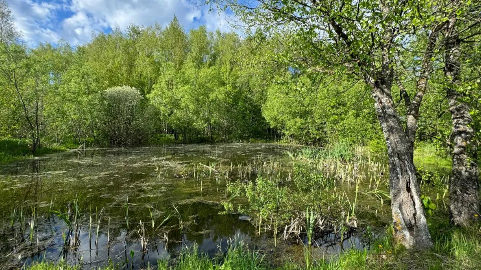 Фото: t.me/mariiaazar3nkova