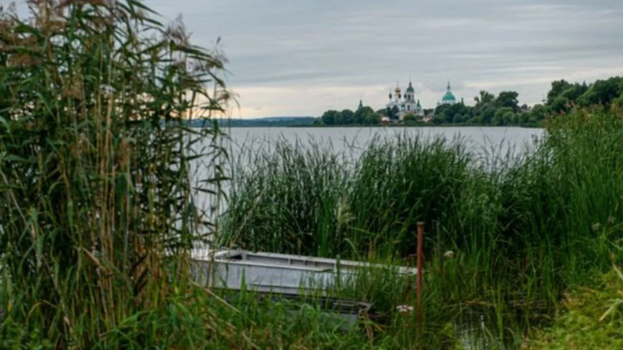 Фото: медиасток.рф