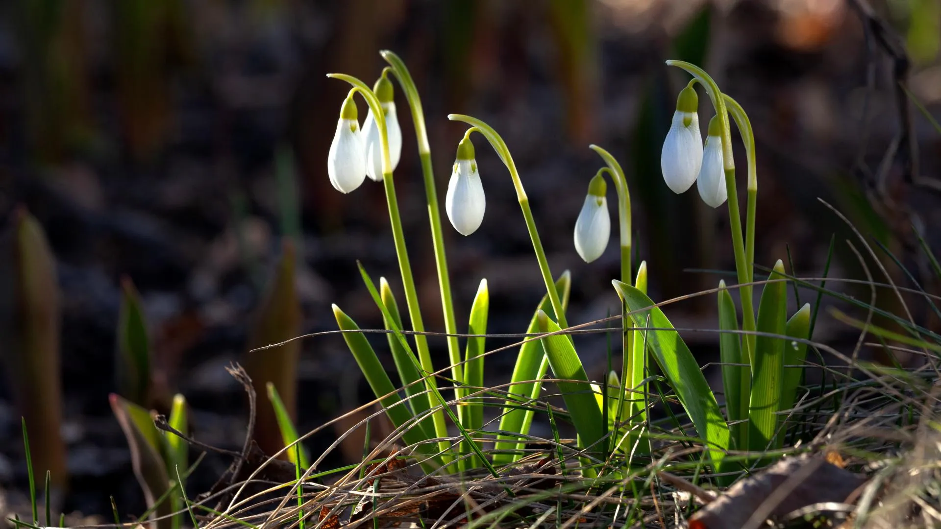медиасток.рф