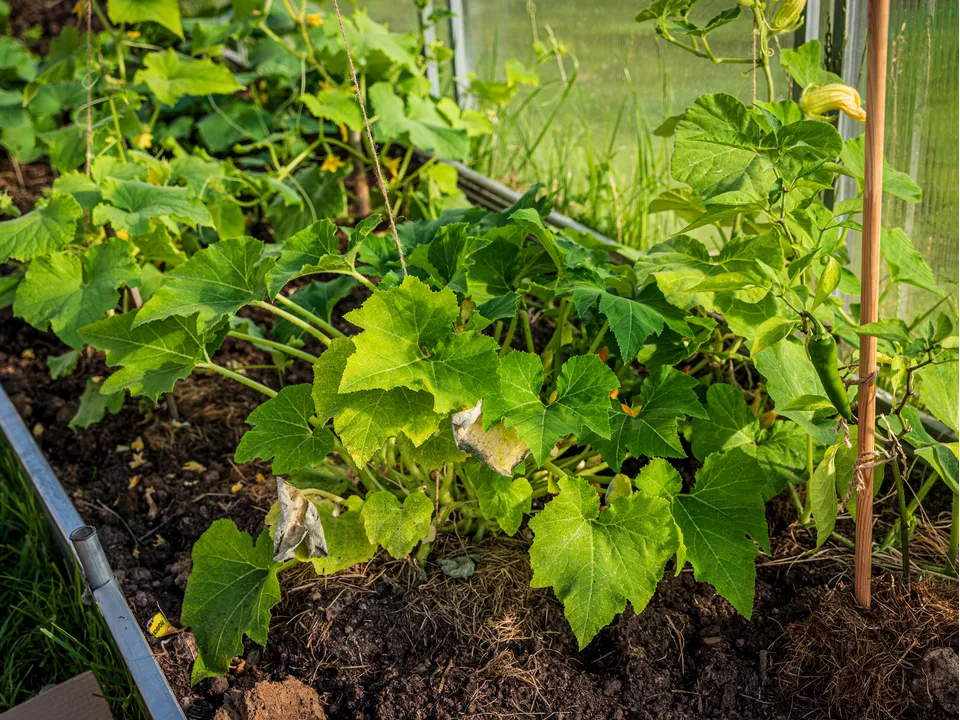 Фото: REGIONS/Наталия Надточая