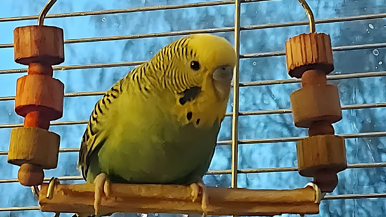 Павел Слуцкий