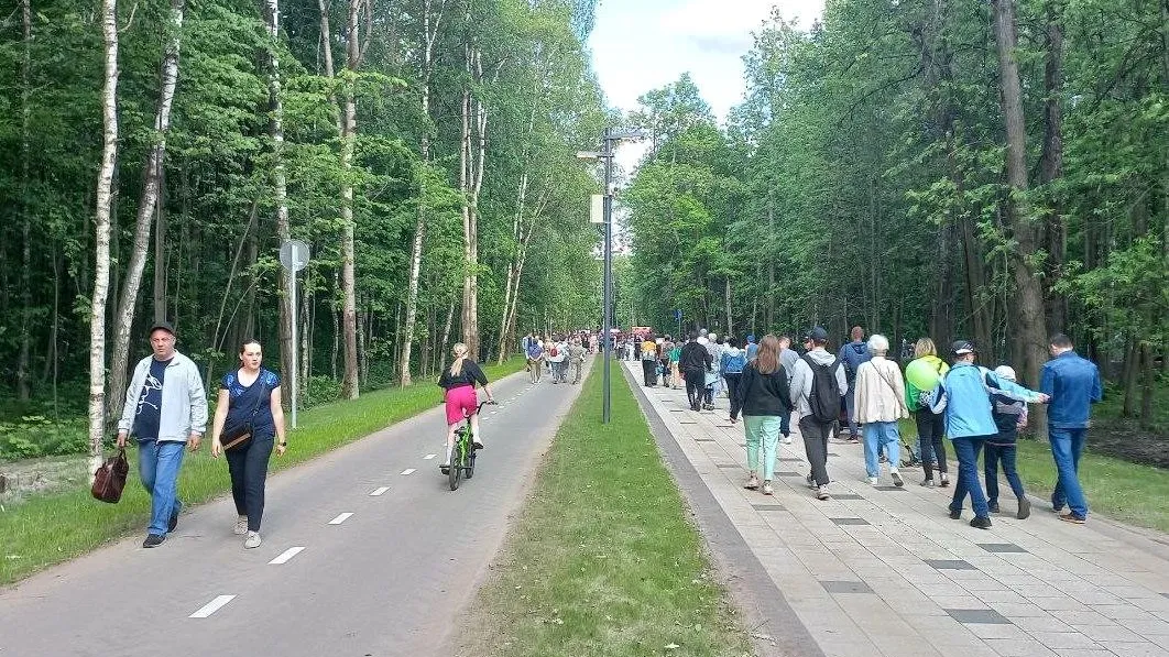 Фото: Олег Книжник