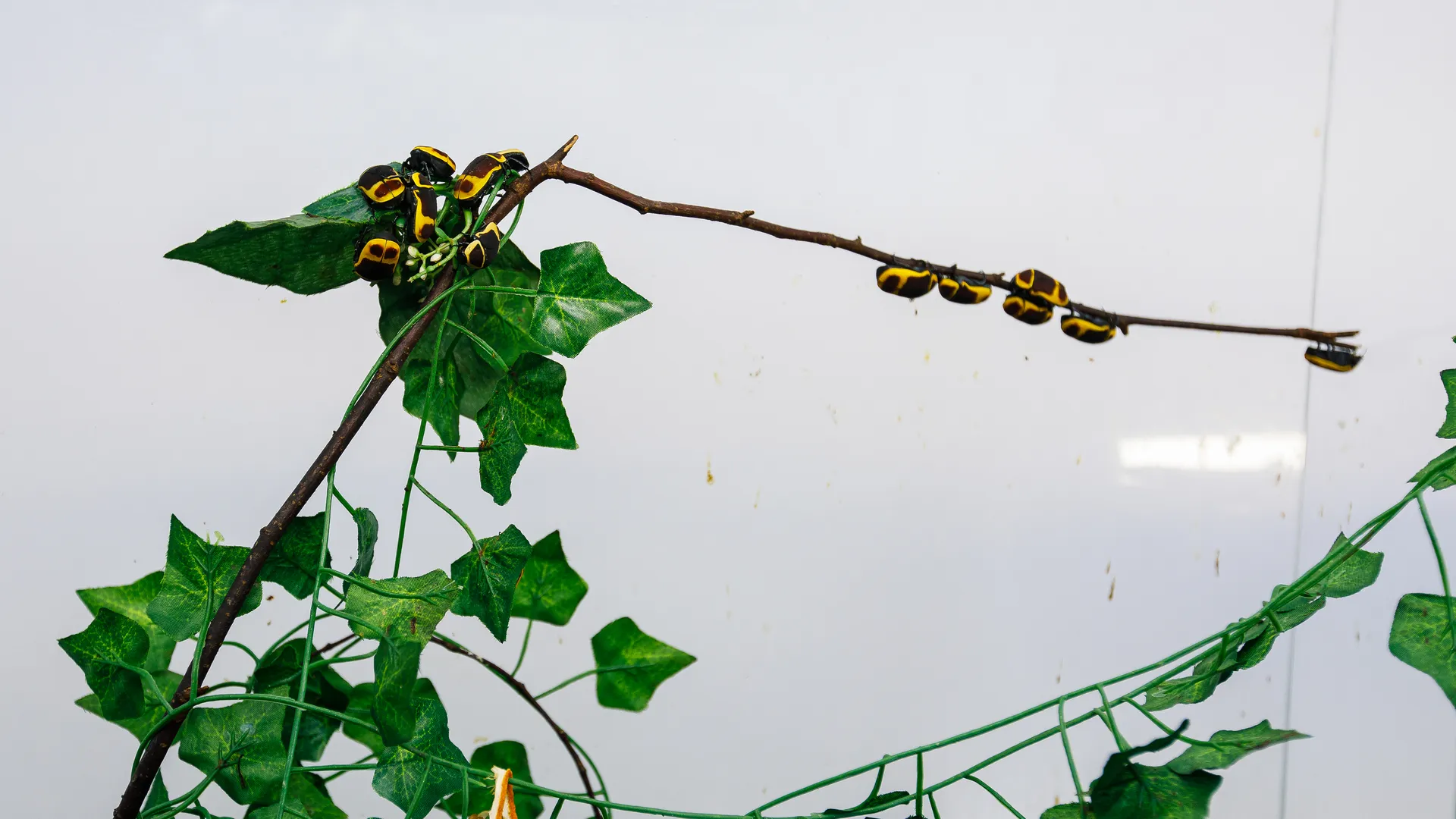 медиасток.рф