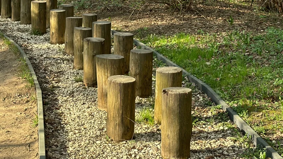 Фото: Медиабанк Подмосковья/Марина Блакитная